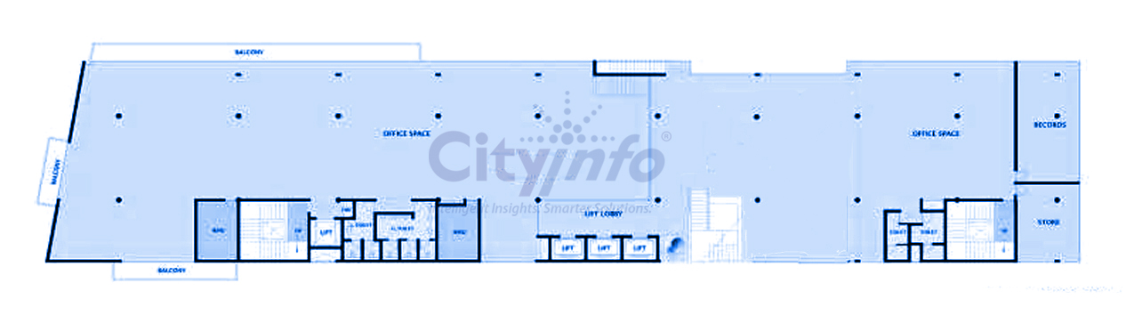 Floot Image for Kabra Excelsior